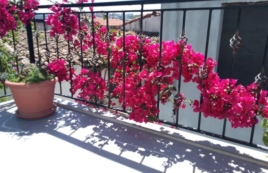 Casa Magnolia Boutique Rooms-1
