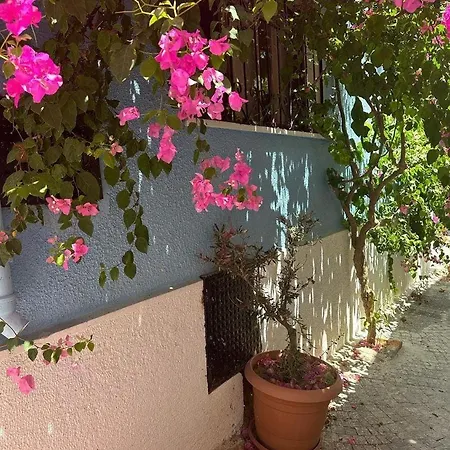Casa Magnolia Boutique Rooms-3